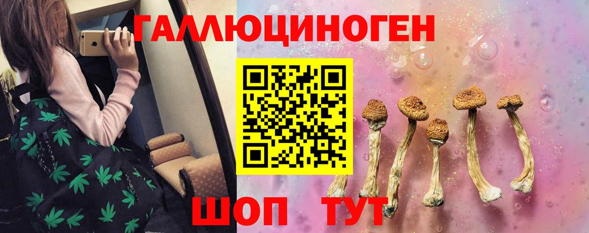 Галлюциногенные грибы Cubensis Новозыбков