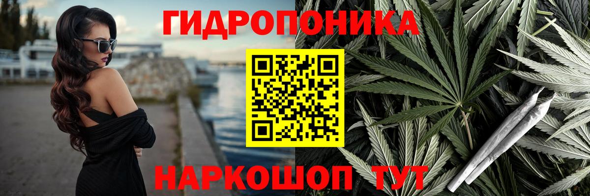 Марихуана сатива  Бошки Шишки ГИДРОПОН  Вход с VPN  Каннабис THC 21%  Новозыбков 